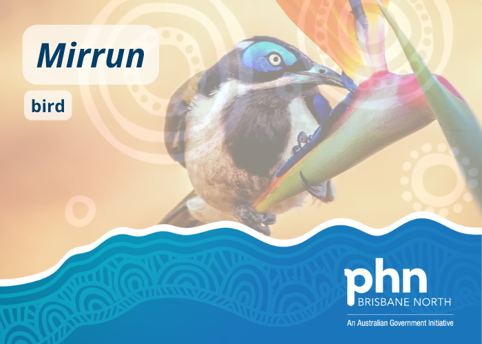 Mirrun