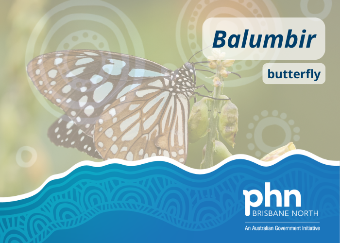 Balumbir