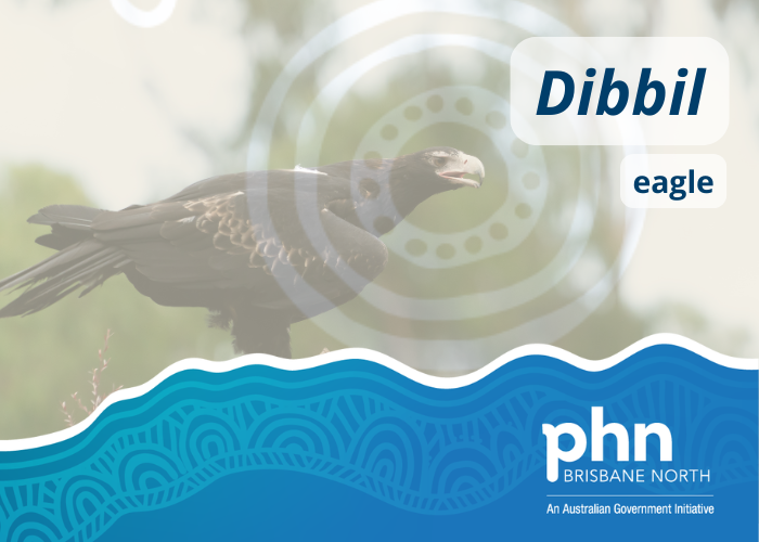 Dibbil
