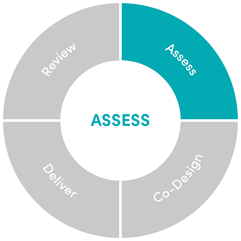 Commissioning Framework Segments assess