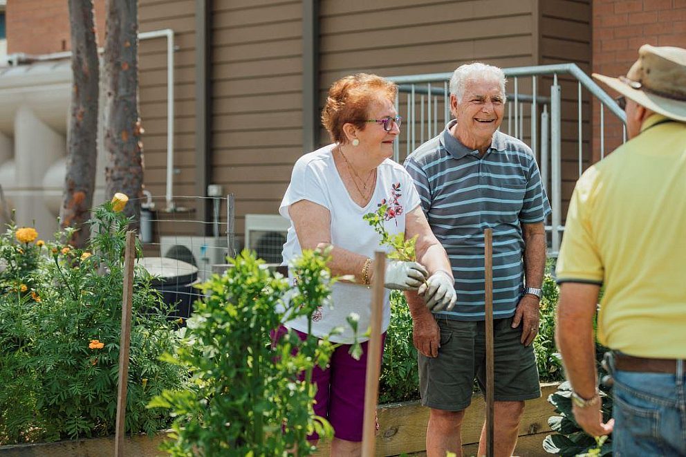 Older couple gardening